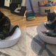 Luna and Sirius putting the KATRIS Nest to the test.